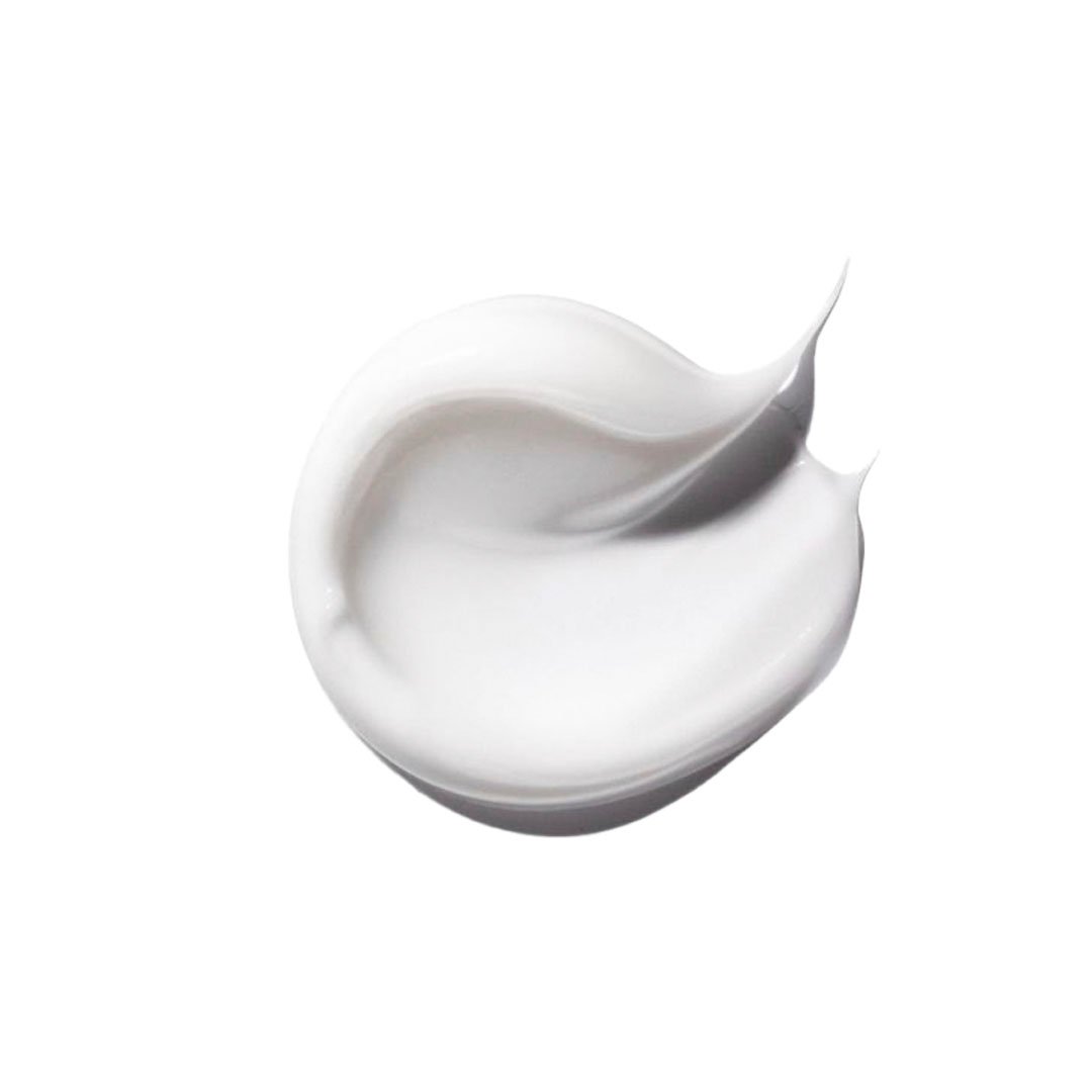 PRIMER BASE – Image 3